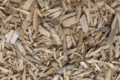 biomass boilers Lamellion